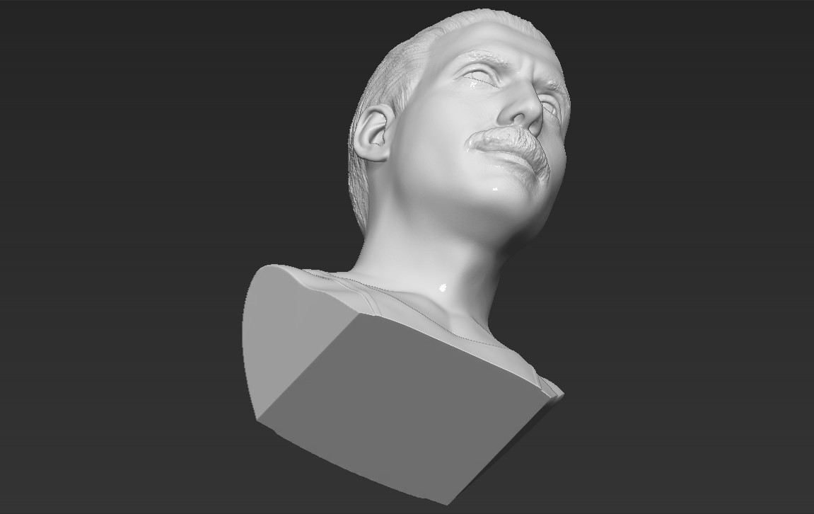 Bust 3d model