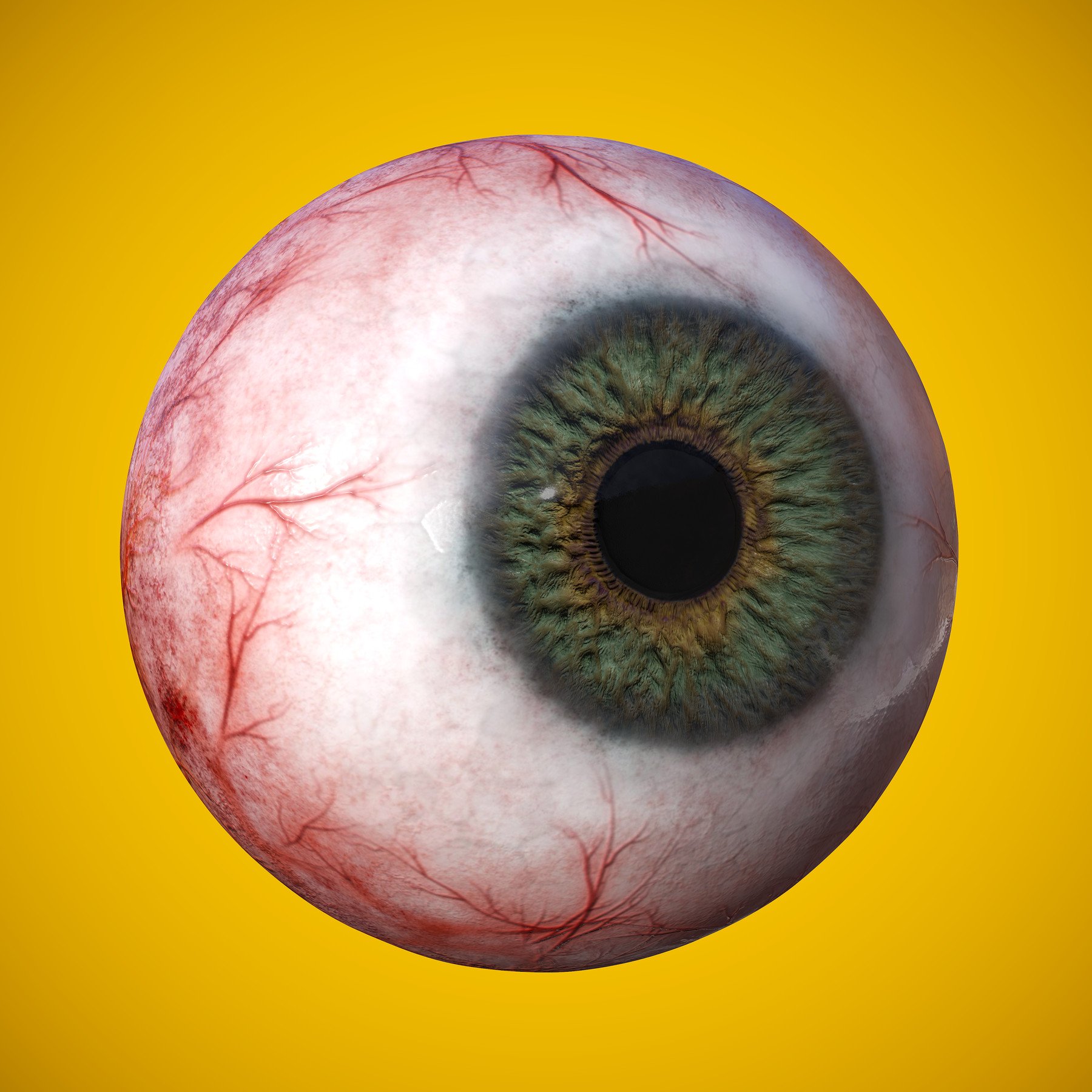 ArtStation Eye Anatomy Photorealistic Eyeball Resources