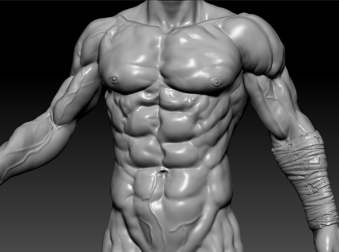 muscles in zbrush