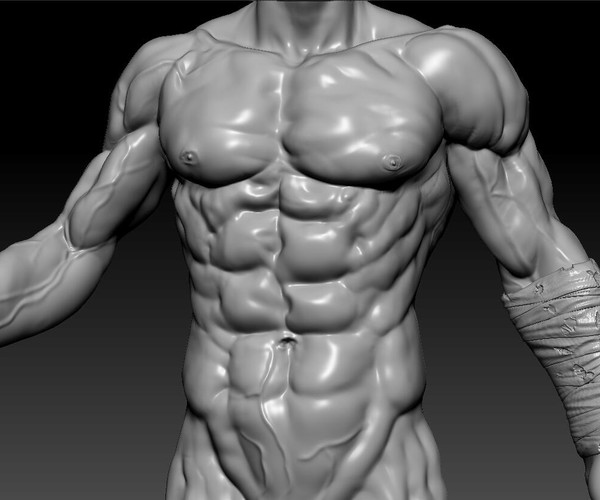 abdominal muscles alpha zbrush