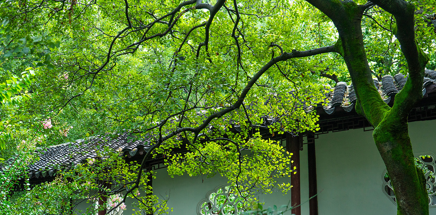 ArtStation - Chinese Garden - PACK01 | Resources