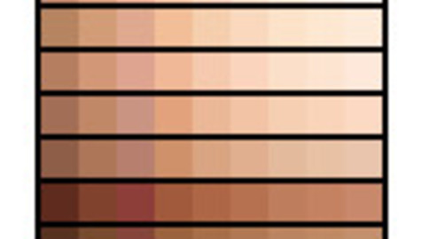 Skin Tones Palette 3 for Clip Studio Paint and Ex