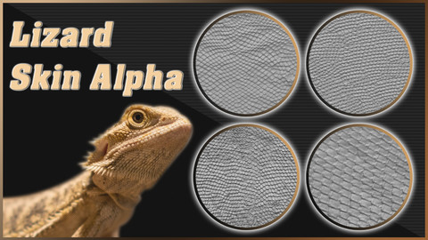 Lizard Scale And Skin Alpha