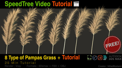 8 Type of Pampass grass + Tutorial