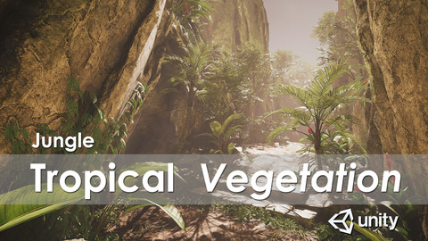 Jungle - Tropical Vegetation