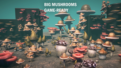 Big mushrooms