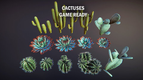 Cactuses