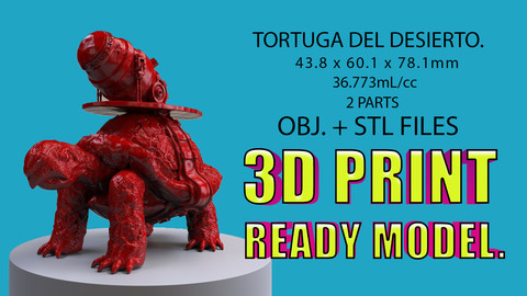 Tortuga del Desierto. (3D Printable Model)