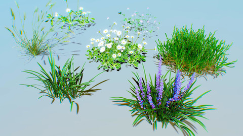 ground plants pack 01