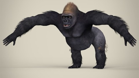 Low Poly Gorilla 3D Model