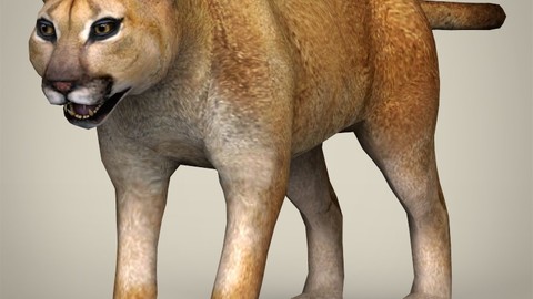 Low Poly Mountain Lion 3D Model