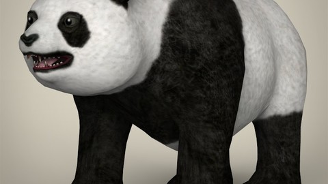 Low Poly Giant Panda 3D Model