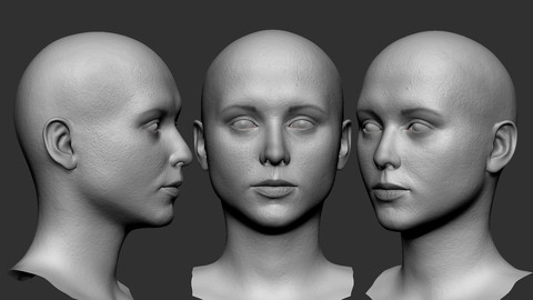 Woman Head Base mesh 3D model