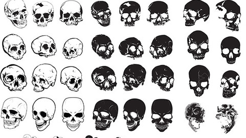 Skulls Vector Package