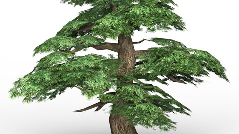 Game Ready Low Poly Tree 12