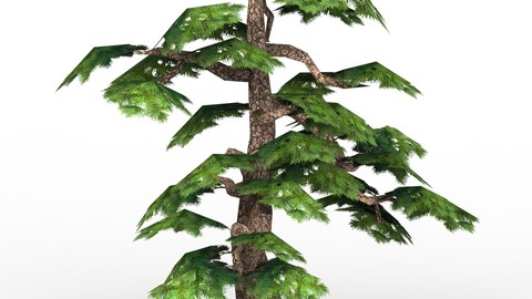 Game Ready Low Poly Tree 14