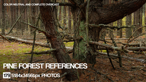 Pine Forest reference pack