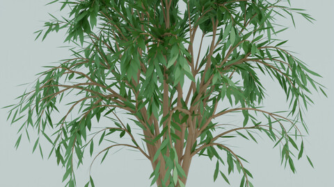 Simple tree for various projects