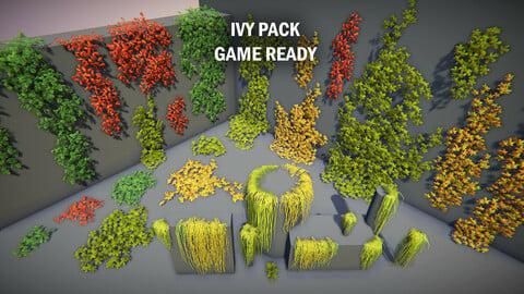 Ivy pack