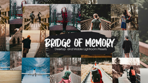 Bridge of Memory Lightroom Presets