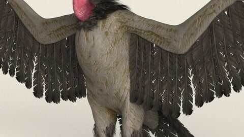 Vulture Low Poly PBR Ready 3D Model