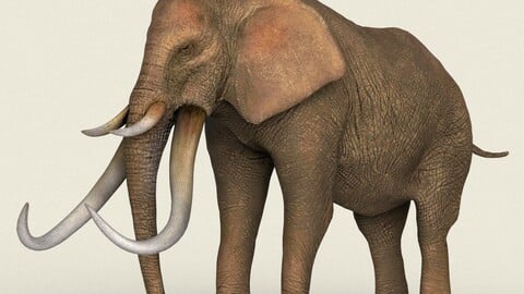 Elephant Low Poly PBR Ready 3D Model