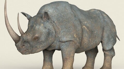 Rhinoceros Low Poly PBR Ready 3D Model