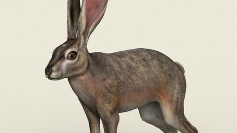 Rabbit Low Poly PBR Ready 3D Model