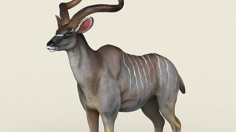 Kudu Low Poly PBR Ready 3D Model