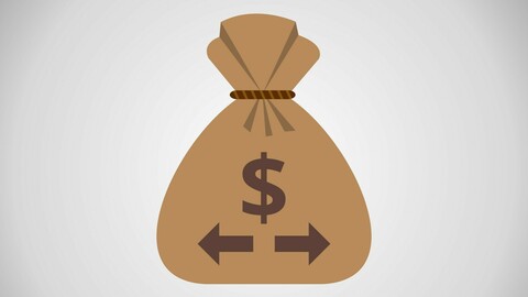 Vector Send Money Icon