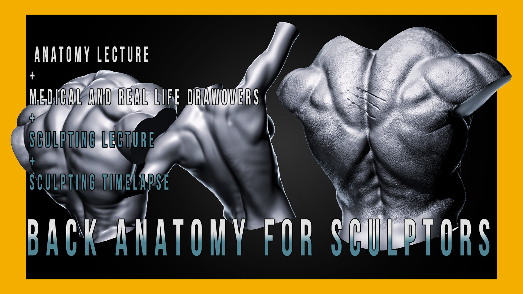 ArtStation - Back Anatomy For Sculptors | Tutorials