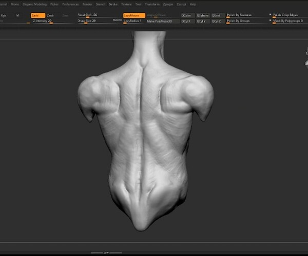 ArtStation - ZBrush Anatomy Tutorial: Sculpting The Back And Torso