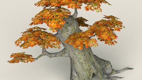 Low Poly Maple Tree 02