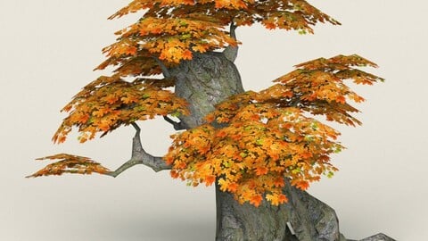 Low Poly Maple Tree 05