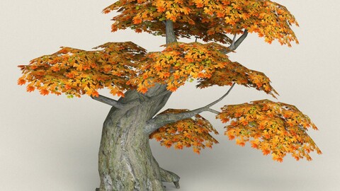 Low Poly Maple Tree 06