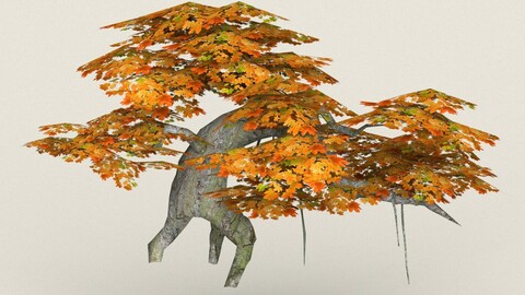 Low Poly Maple Tree 07