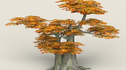 Low Poly Maple Tree 10