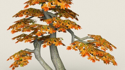 Low Poly Maple Tree 14