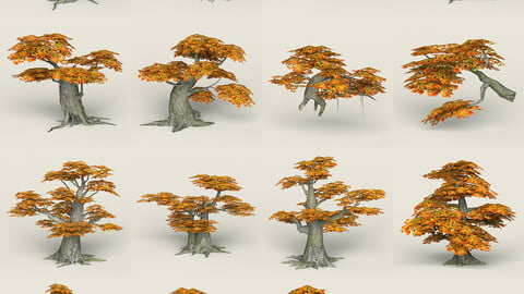 Fantasy Maple Tree Collection