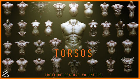 TORSOS - 33 Character & Creature Zbrush Insertmesh Brush