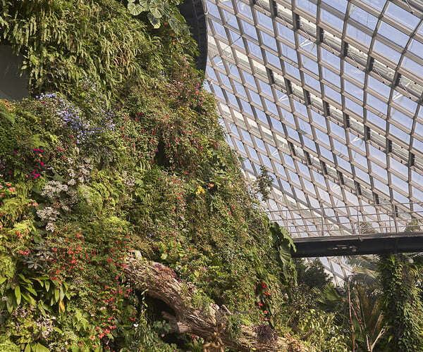 ArtStation - Cloud Forest Day - Gardens By The Bay - Singapore ...