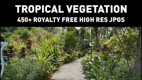 Tropical Vegetation - Photopack