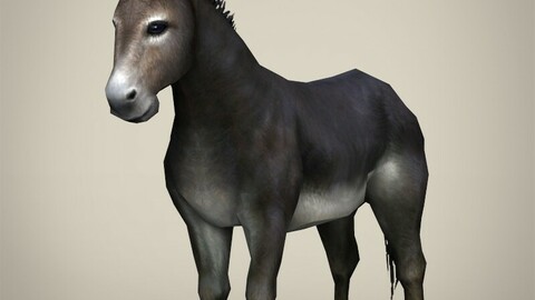 Game Ready Realistic Donkey