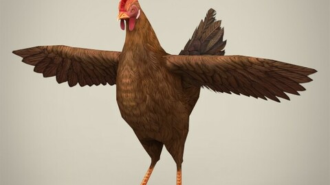 Game Ready Realistic Hen