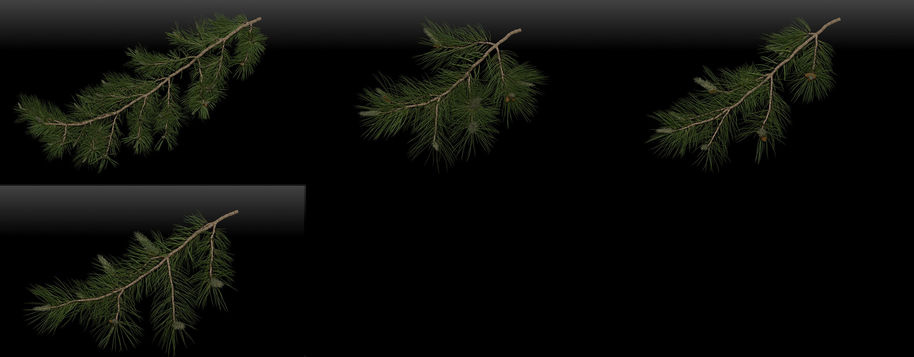 274,826 Pine Branches Sky Images, Stock Photos, 3D objects, & Vectors