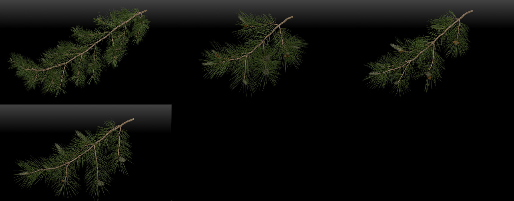 ArtStation - Pine Branches Hi-res 3D models