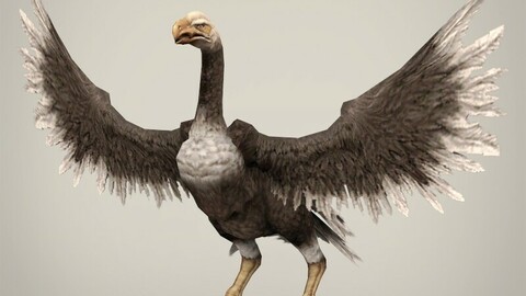Game Ready Fantasy Vulture