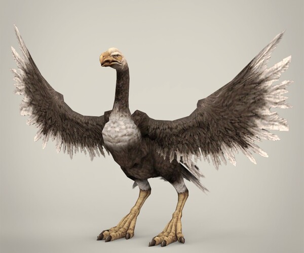 ArtStation - Game Ready Fantasy Vulture | Game Assets