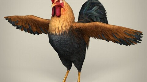 Game Ready Realistic Rooster