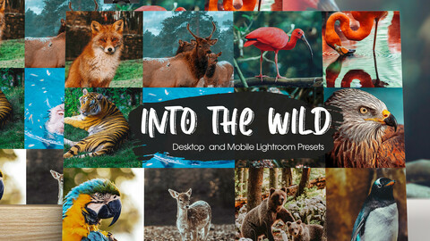 Into The Wild Lightroom Presets
